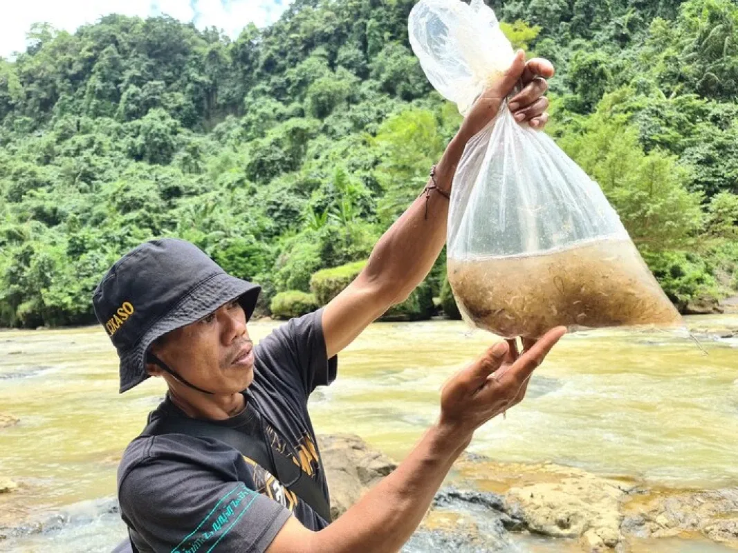 ASEAN地域における熱帯性ウナギの資源管理の強化