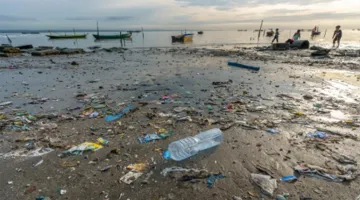 Strengthening Capacity for Marine Debris Reduction and Waste Management in ASEAN Region through Knowledge Sharing on Marine Litter