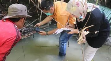 Eel Catch Sampling Survey in Poso, Central Sulawesi through JAIF Phase II Project