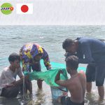 Eel Catch Sampling Survey in Poso, Central Sulawesi